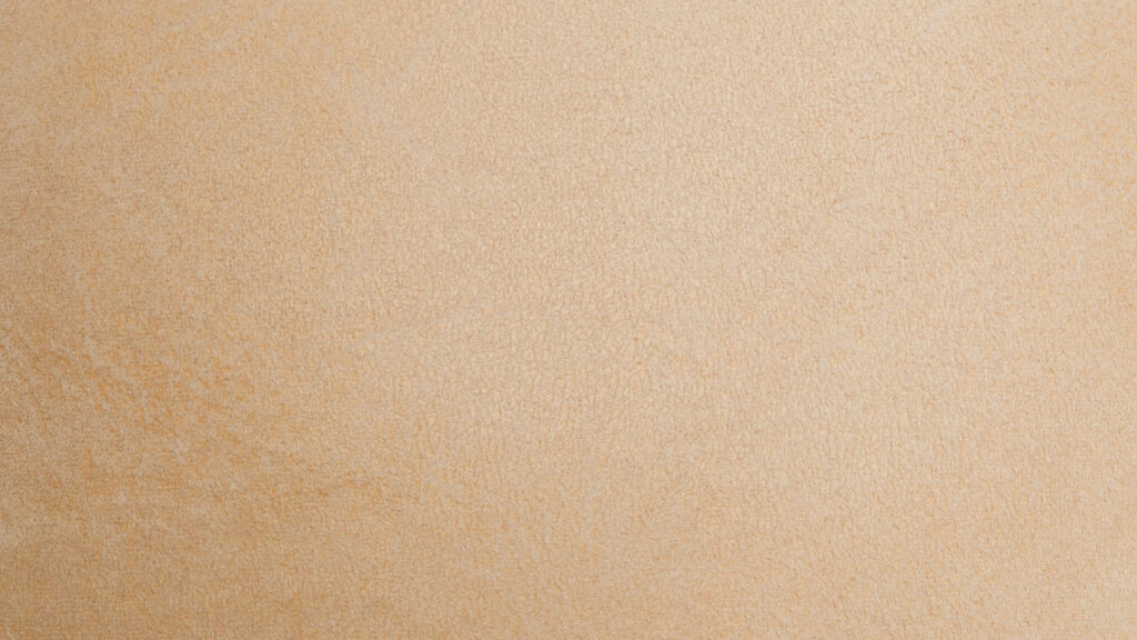 Hermes Chevre Mysore vs Coromandel: Which Is Right for You? Close-up of soft grained beige goat leather texture