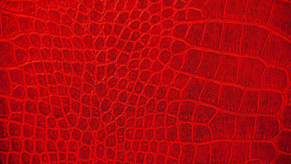 Symmetrical Scale Matching on Hermes Exotic Skins: Expert Method Close-up of exotic skin scale pattern texture