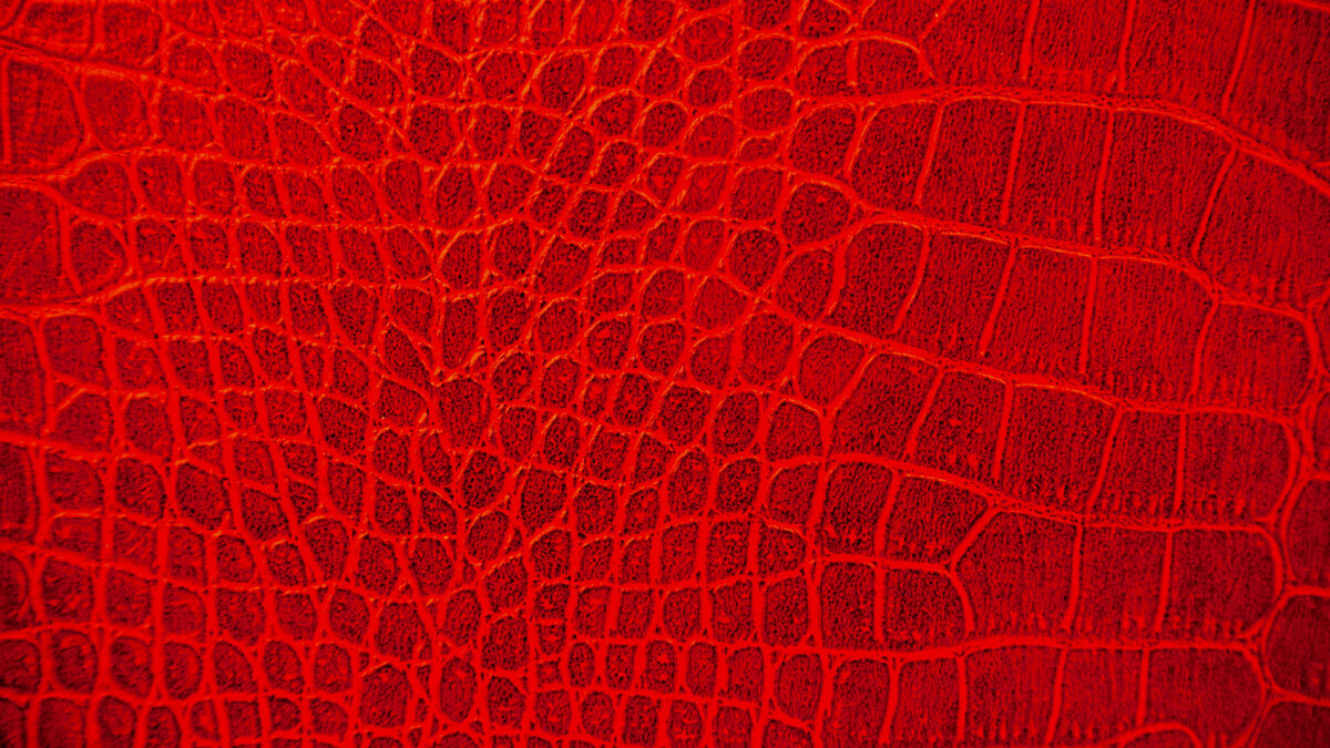 Close-up of exotic skin scale pattern texture