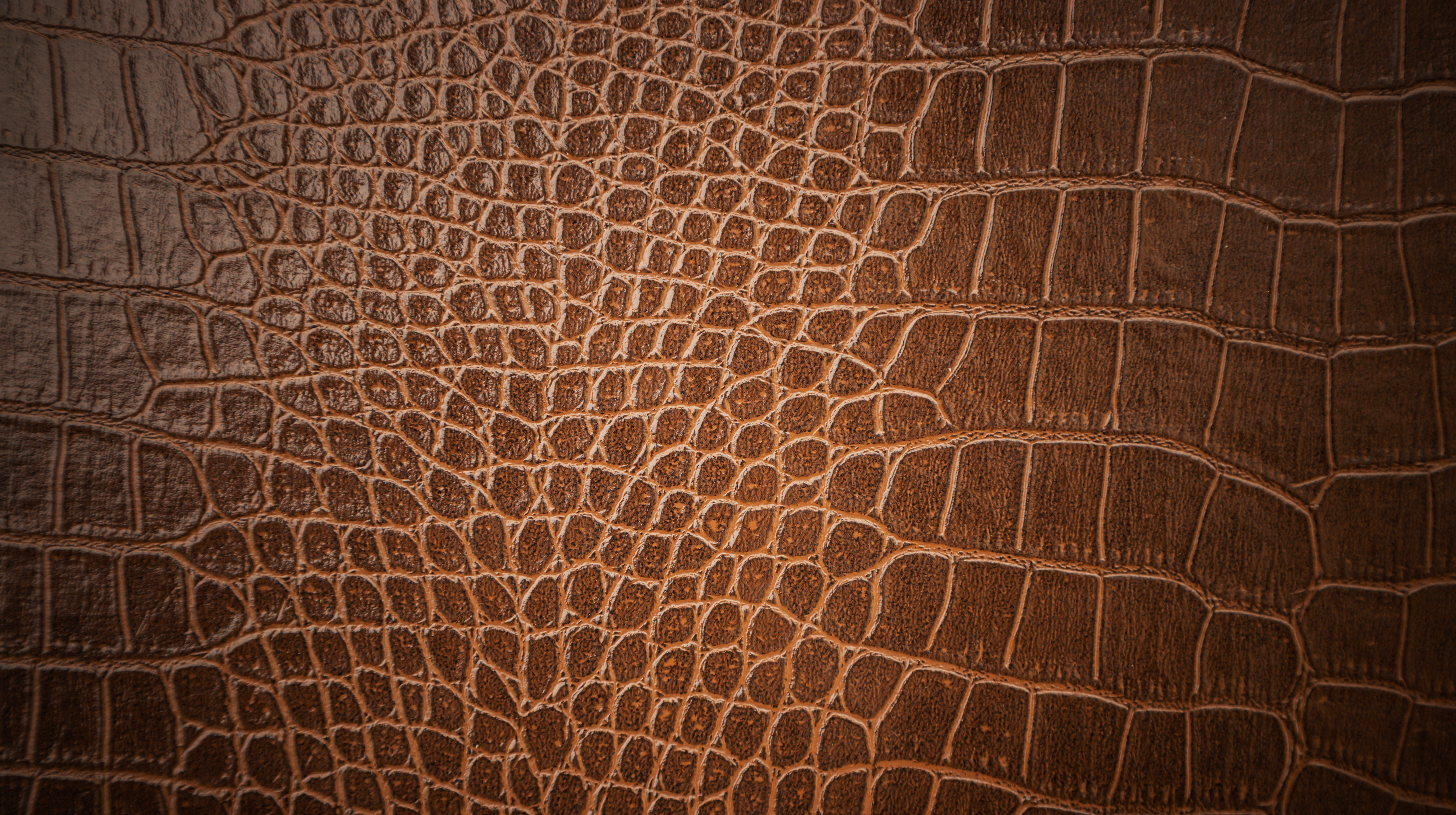 Close-up of exotic skin leather texture, representing the material regulated by CITES rules across different countries