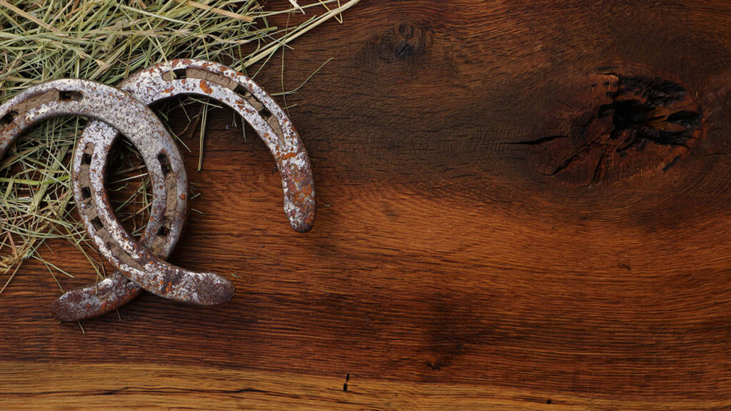 Horseshoes resting on wood, representing the Fer a Cheval horseshoe-shaped stamp found on some Hermes bags
