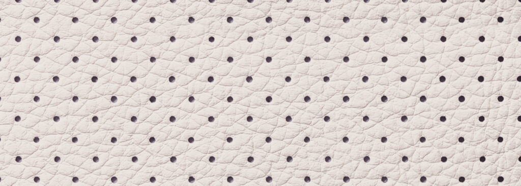 Close-up of perforated dotted leather texture, echoing the signature perforated pattern found on the Evelyne bag
