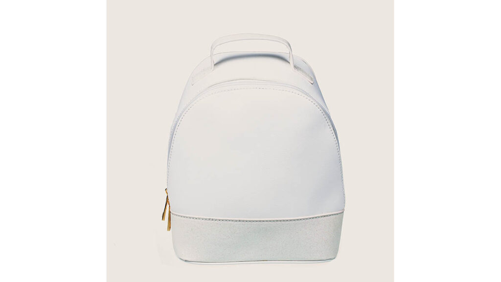 A small structured leather bag, representing the compact silhouette compared between the Constance 18 and 24