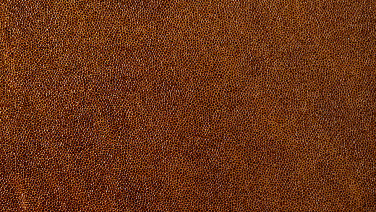 Close-up of pebbled grain brown leather texture