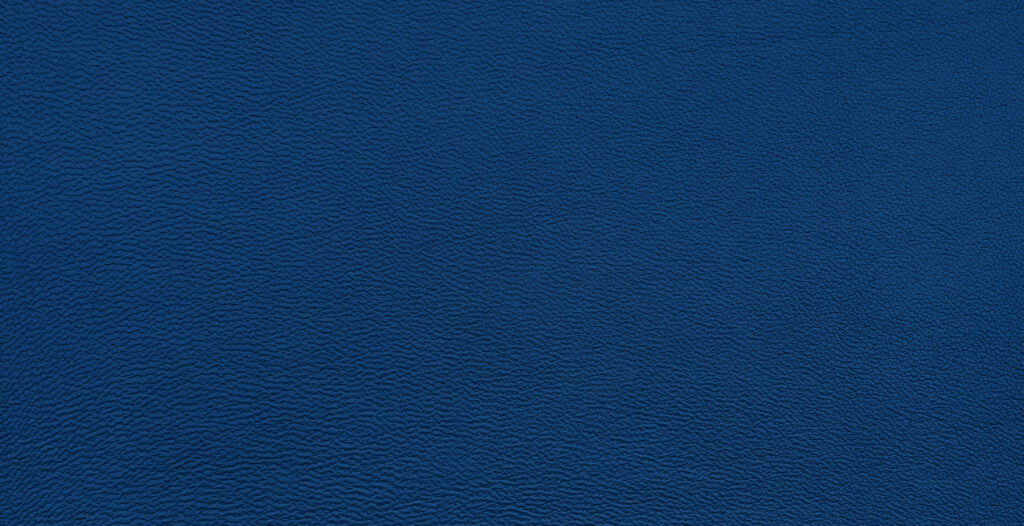 Hermes Veau Volupto Leather: Characteristics, Care & Availability Close-up of fine-grain matte calfskin leather, illustrating the soft supple surface characteristic of Veau Volupto