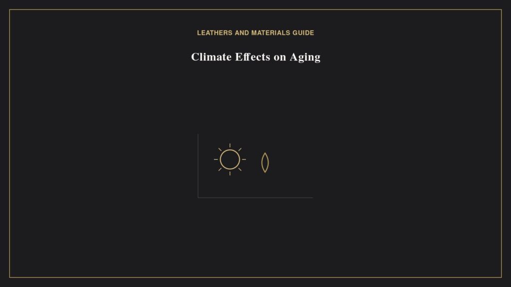Illustration of a sun and humidity droplet representing climate effects on Hermes leather aging